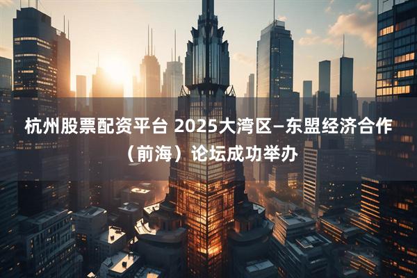 杭州股票配资平台 2025大湾区—东盟经济合作（前海）论坛成功举办
